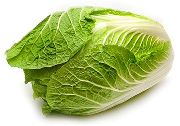 Cabbage