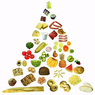 Follow USDA Food Pyramid