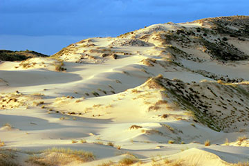 Kalahari Desert